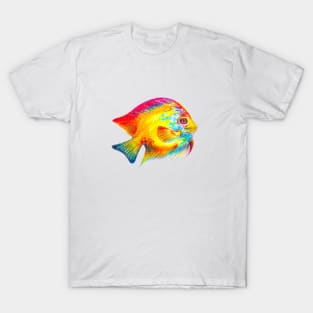 Colorful Roly Poly Fish T-Shirt